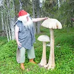 Elves Village Ξενοδοχείο 3*