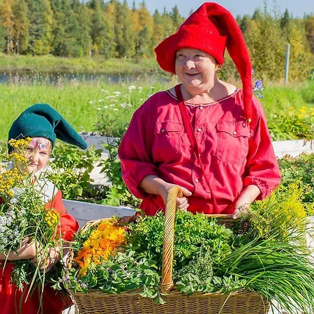 Elves Village 3* Köngäs