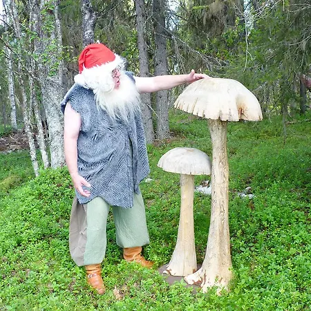 Elves Village Hotel 3*