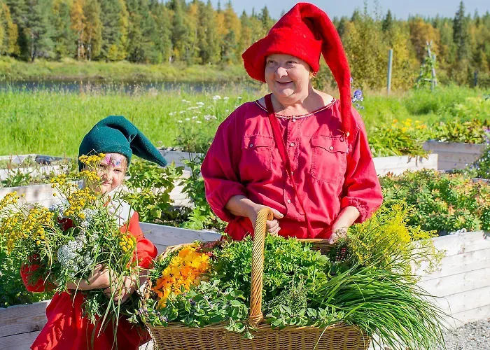 Elves Village 3* Köngäs