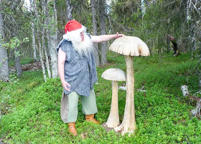 Elves Village Hotelli 3*